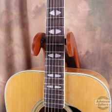 Terada Guitars Terada FW-504_12