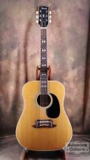 Terada Guitars Terada FW-504_15