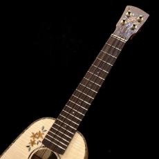 Chihale works Soprano Pineapple 11P-MP _10
