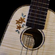 Chihale works Soprano Pineapple 11P-MP _6