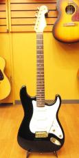 FERNANDES FST-75_2