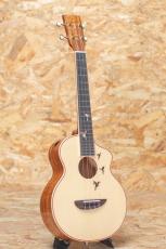 L.Luthier Aca EQ Tenor_3