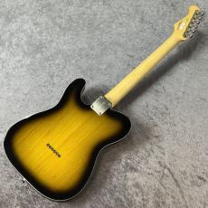 FUJIGEN Neo Classic NTE210RAH-2TS ~2Tone Sunburst~ #L230627 [3.57kg]_7