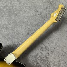 FUJIGEN Neo Classic NTE210RAH-2TS ~2Tone Sunburst~ #L230627 [3.57kg]_10