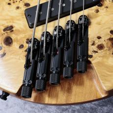 Ibanez EHB1505SMS - Florid Natural Low Gloss -【2.98g】【#I250609618】_3