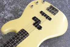 ESP PJ Type【4.03kg】_3