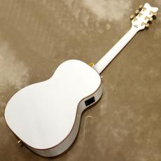 Gretsch G5021WPE Rancher Penguin_3