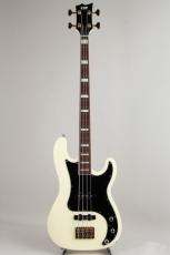 ESP PB Type Custom_2