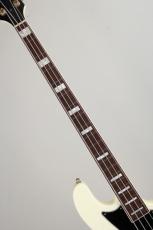 ESP PB Type Custom_5