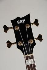 ESP PB Type Custom_7