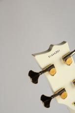 ESP PB Type Custom_9