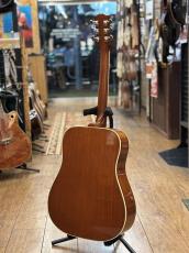Gibson 【GibsonExpo出展品】Hummingbird 2010年製_4