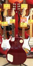 Epiphone Les Paul Standard Plus Top Pro_5