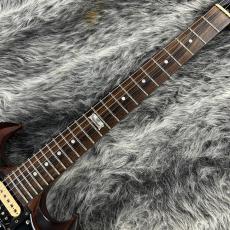 Gibson SGJ 14_5