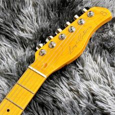 Sire Larry Carlton T7TV Silver_5