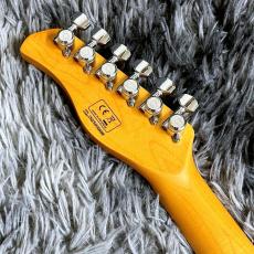 Sire Larry Carlton T7TV Silver_6