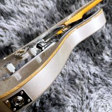 Sire Larry Carlton T7TV Silver_9