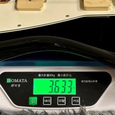 Fender Player II Jazzmaster, Rosewood Fingerboard, Black 【特価】_11
