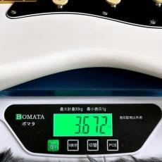 Fender Player II Stratocaster, Rosewood Fingerboard, Polar White 【特価】_11