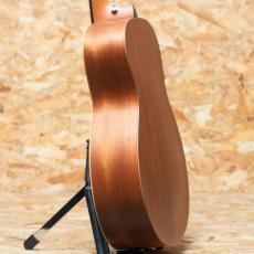Taylor GS Mini-e Special Edition Trans Black_5