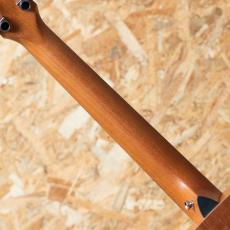 Taylor GS Mini-e Special Edition Trans Black_7