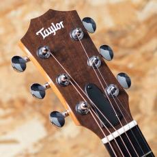 Taylor GS Mini-e Special Edition Trans Black_8