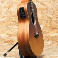Taylor GS Mini-e Special Edition Sunset Fade_4