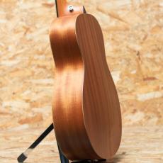 Taylor GS Mini-e Special Edition Sunset Fade_5
