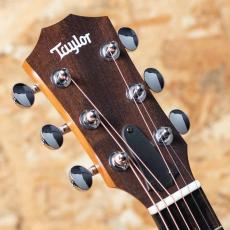 Taylor GS Mini-e Special Edition Sunset Fade_8