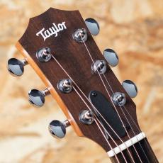 Taylor GS Mini-e Special Edition Trans White_8