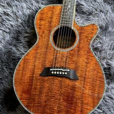 Takamine DMP100K N