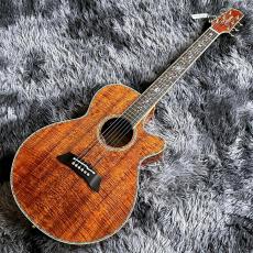 Takamine DMP100K N_2