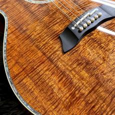 Takamine DMP100K N_4