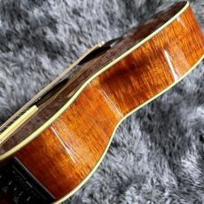 Takamine DMP100K N_10