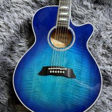 Takamine TSP178AC SBB Thinline
