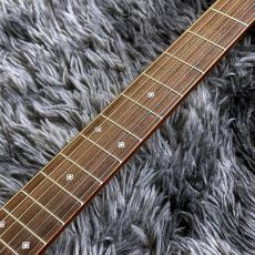 Takamine PTU431K N_5