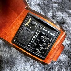 Takamine PTU431K N_9
