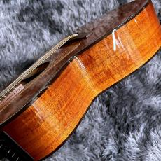 Takamine PTU431K N_10