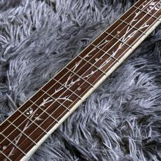 Ibanez TOD10N-SMF (Silver Metallic Flat) Tim Henson Signature_5