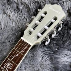 Ibanez TOD10N-SMF (Silver Metallic Flat) Tim Henson Signature_6