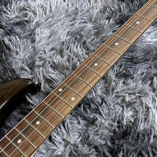Aria Pro II RSB-700WP SBK (See-through Black) 【特価】_5