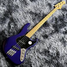 Bacchus WJB-1MS-DX-AC RSM/M IPM -Universe Series- 【特価】【マルチスケール】_2