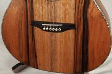 Bromo Guitars BAR4GCE【マンゴーボディ!】【オール単板】_7