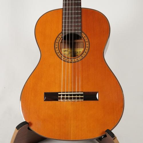 ARIA PEPE P-55【USED】
