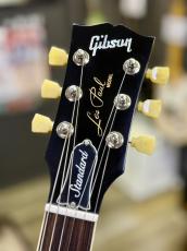 Gibson Les Paul Standard '50s P90 Gold Top【4.06Kg】_3