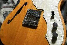 Fender Telecaster Thinline Natural 1971_4