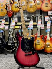 MUSIC MAN 【決算セール】 Sting Ray HT -Raspberry Burst- 2023年製【with Gain Boost】【Stainless Frets】_2