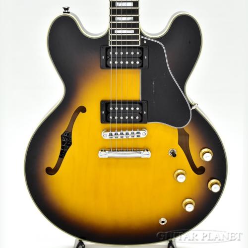 James Tyler James' Semi-Hollow Grail -Tobacco Burst-【鳥山雄司さん使用スペック】