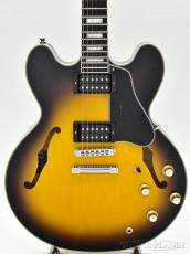 James Tyler James' Semi-Hollow Grail -Tobacco Burst-【鳥山雄司さん使用スペック】_2