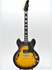 James Tyler James' Semi-Hollow Grail -Tobacco Burst-【鳥山雄司さん使用スペック】_3